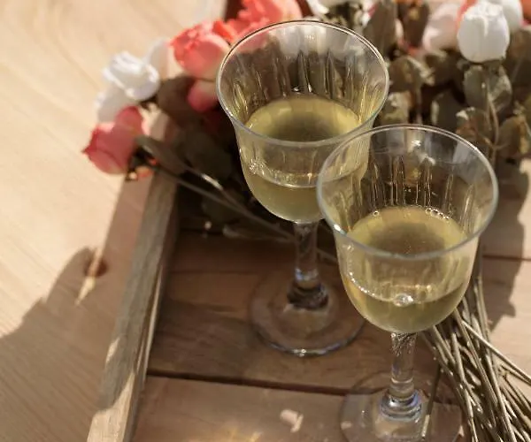 Villa Archetypo 1855 - And Naxos City