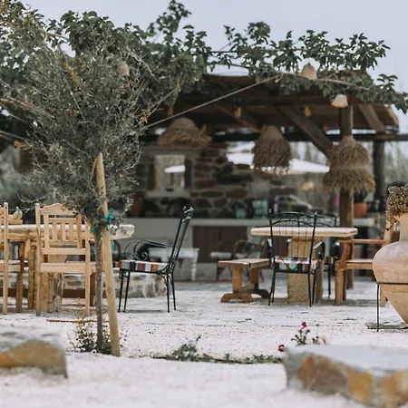 וילה Archetypo 1855 - And *