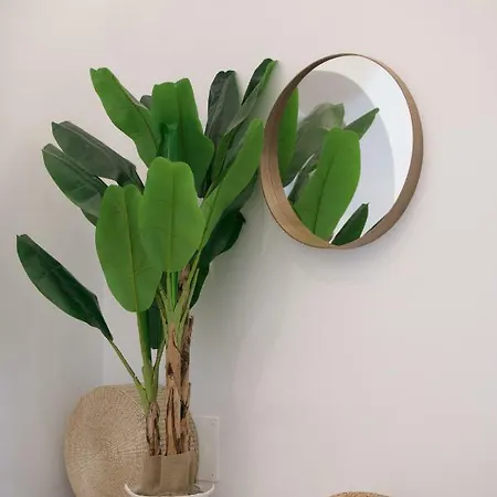 Archetypo 1855 - And