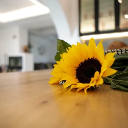 Archetypo 1855 - And * Naxos City